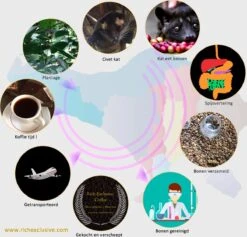 Kopi Luwak Koffie. 35 Gram Ongemalen Bonen. Direct Trade. Single Origin. The Original By Rich.Exclusive. -Koffie Apparatuur 1200x1153