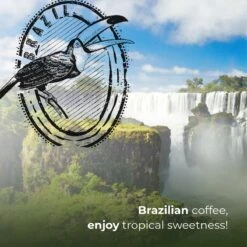 Soolong Enjoy Brazilie Nr4000 Koffiebonen Topacio Lungo - Speciality Koffie Arabica Medium Roast, Light Body Met Een Verfijnde Zacht Zoete Smaak. - Zak 250gram 17 Soolong Enjoy Brazilie Nr4000 Koffiebonen Topacio Lungo - Speciality Koffie Arabica Medium Roast, Light Body Met Een Verfijnde Zacht Zoete Smaak. - Zak 250gram -Koffie Apparatuur 1200x1200 40