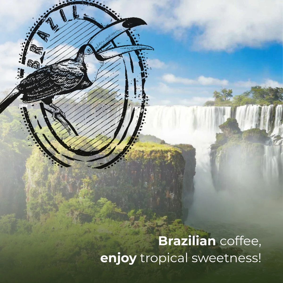 Soolong Enjoy Brazilie Nr4000 Koffiebonen Topacio Lungo - Speciality Koffie Arabica Medium Roast, Light Body Met Een Verfijnde Zacht Zoete Smaak. - Zak 250gram 9 Soolong Enjoy Brazilie Nr4000 Koffiebonen Topacio Lungo - Speciality Koffie Arabica Medium Roast, Light Body Met Een Verfijnde Zacht Zoete Smaak. - Zak 250gram - Afbeelding 7