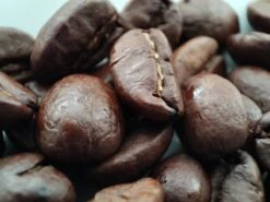 Voordeelpakket: Den Leeuw Lungo (80 Koffiecups) - Roast Koffiecups - Echte Hollandsche Koffie Van Den Leeuw In Nespresso Cups - Nespresso Compatibele Koffie Cups 12 Voordeelpakket: Den Leeuw Lungo (80 Koffiecups) - Roast Koffiecups - Echte Hollandsche Koffie Van Den Leeuw In Nespresso Cups - Nespresso Compatibele Koffie Cups -Koffie Apparatuur 1200x900 2